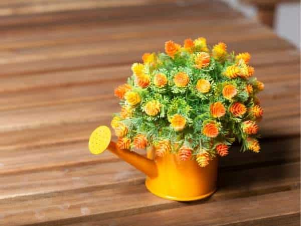 Using Orange Vases/Planters